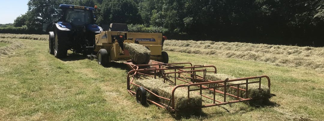 Grass Cutting & Haymaking